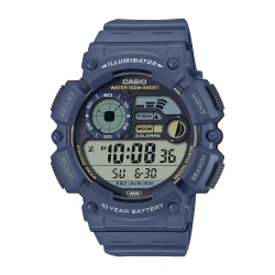 Монополия | Японские наручные часы мужские Casio Collection WS-1500H-2A