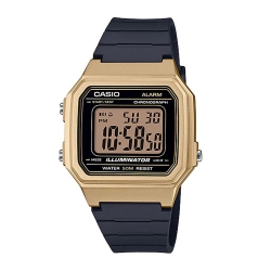 Монополия | Японские наручные часы мужские Casio W-217HM-9A