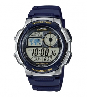 Монополия | Японские наручные часы мужские CASIO Collection AE-1000W-2A